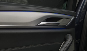 BMW 530d xDrive “Luxury Line” full